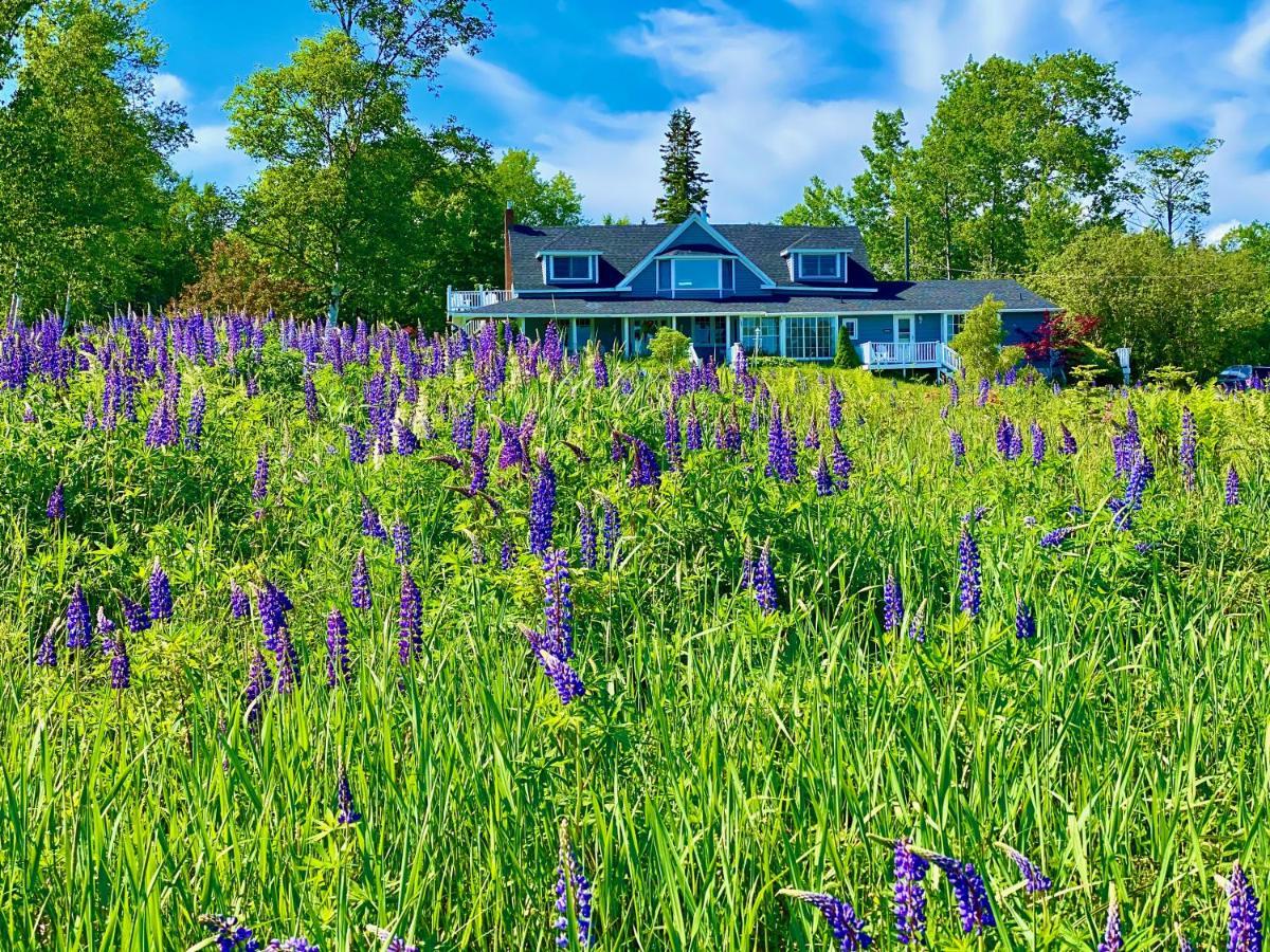 Broadwater Inn & Cottages Baddeck Inlet Dış mekan fotoğraf